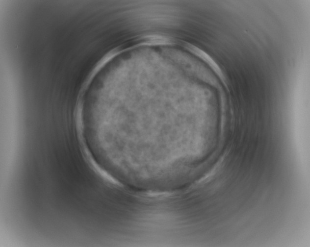 X0000113021243200910081153