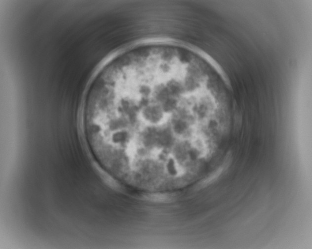 X0000113021245200910081153