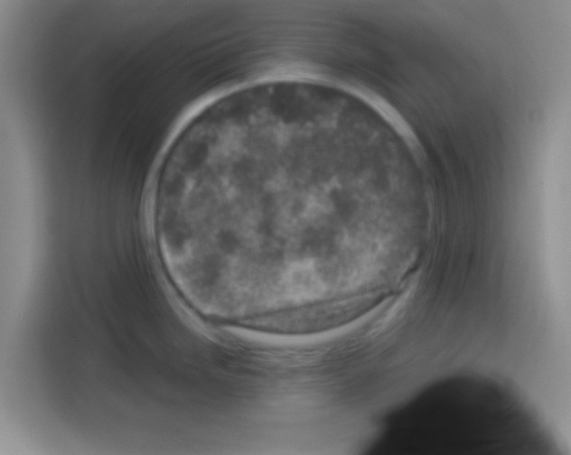 X0000113021246200910081153