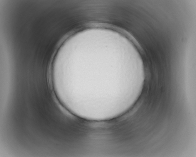 X0000113021247200910081153