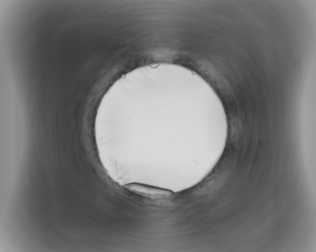 X0000113021249200910081153