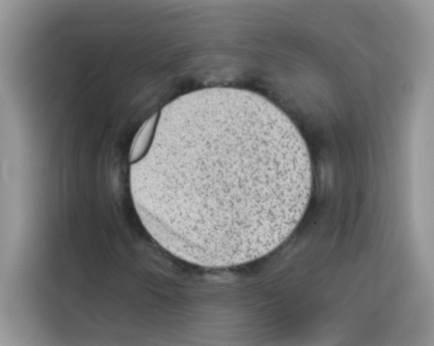 X0000113021250200910081153