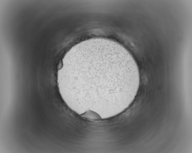 X0000113021253200910081153