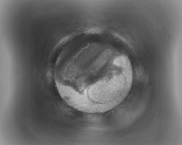 X0000113021254200910081153