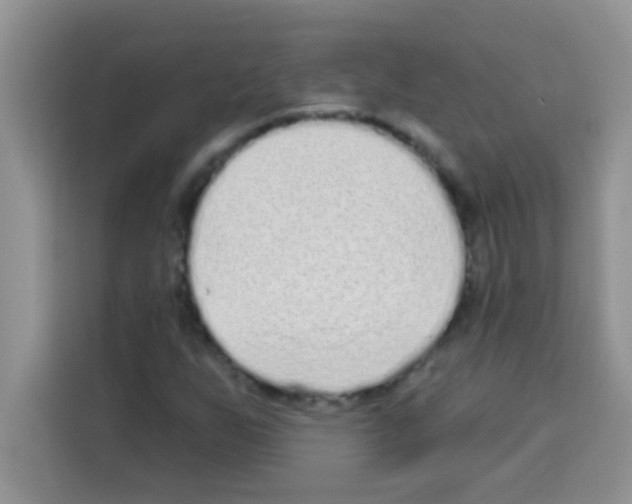 X0000113021255200910081153