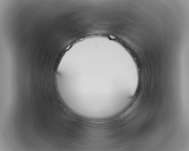 X0000113021257200910081153