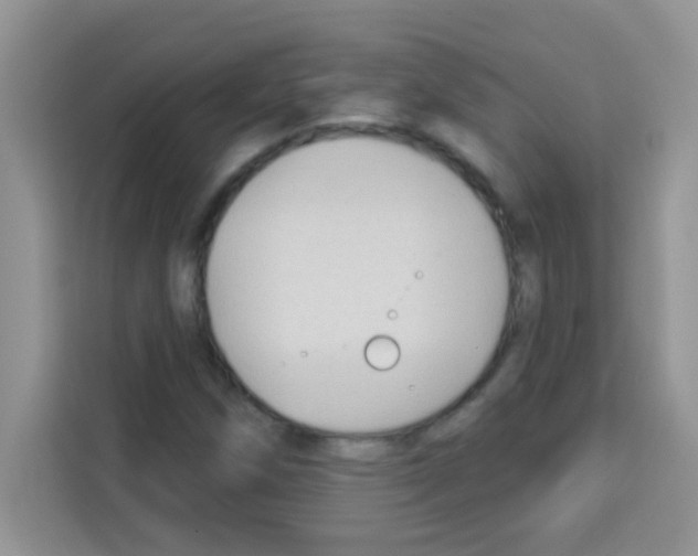 X0000113021258200910081153