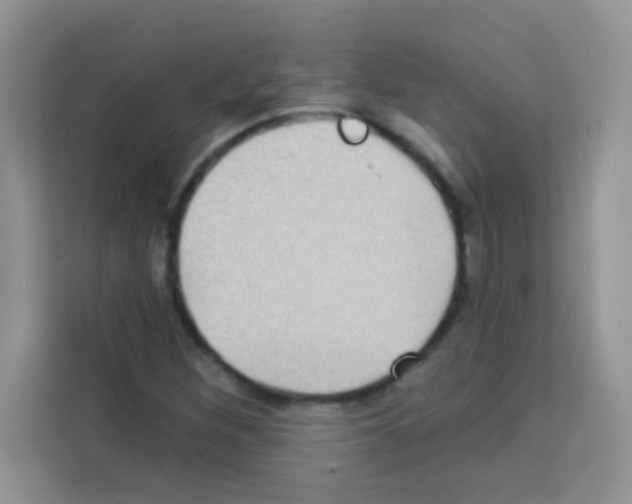 X0000113021260200910081153