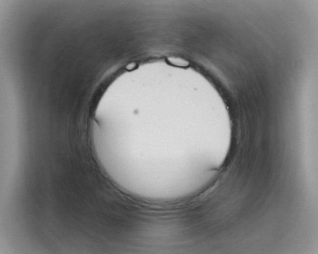 X0000113021261200910081153