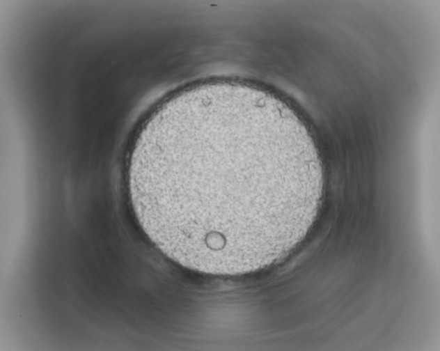 X0000113021263200910081153