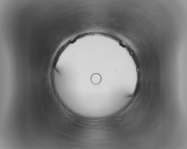 X0000113021264200910081153