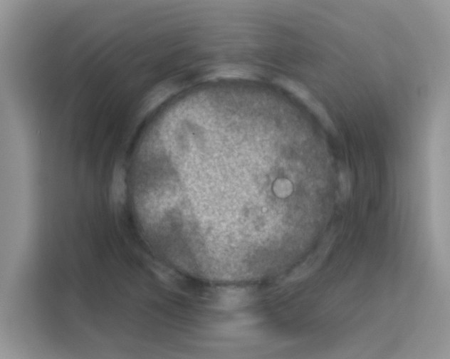 X0000113021266200910081152