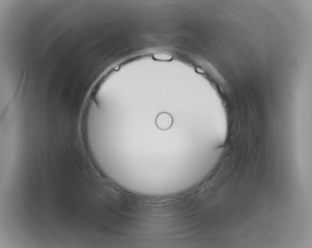 X0000113021268200910081152