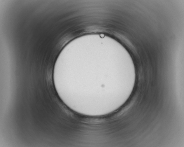 X0000113021273200910081152