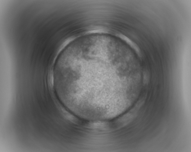 X0000113021274200910081152