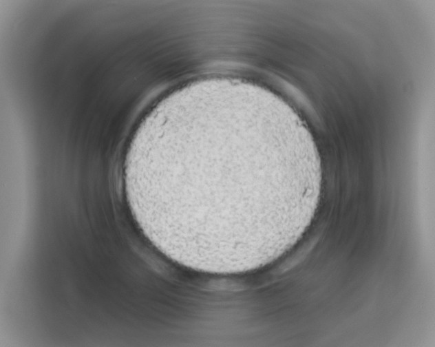 X0000113021275200910081152