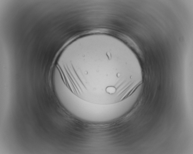 X0000113021276200910081152