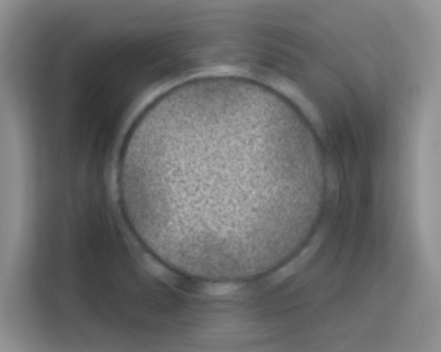 X0000113021278200910081152