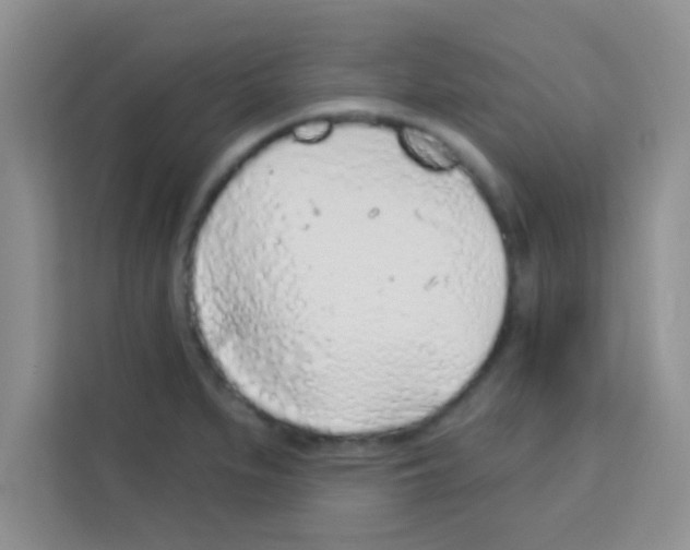 X0000113021279200910081152