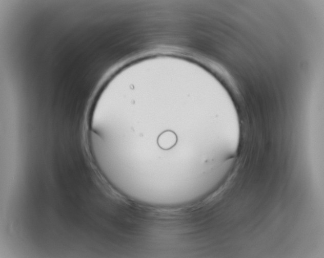 X0000113021280200910081152