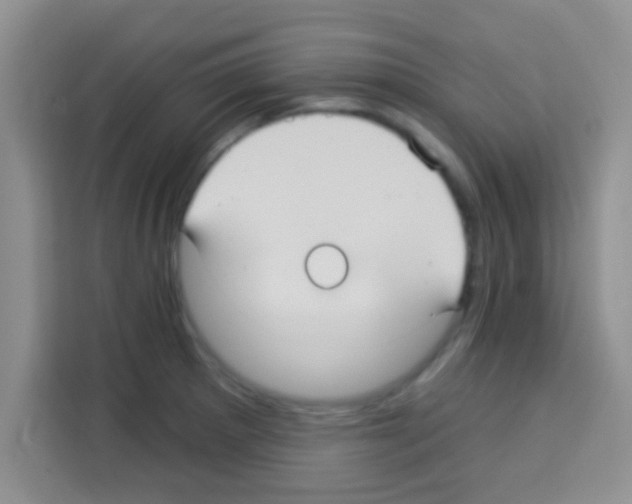 X0000113021281200910081152