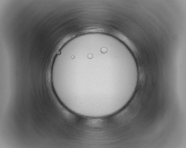 X0000113021282200910081152