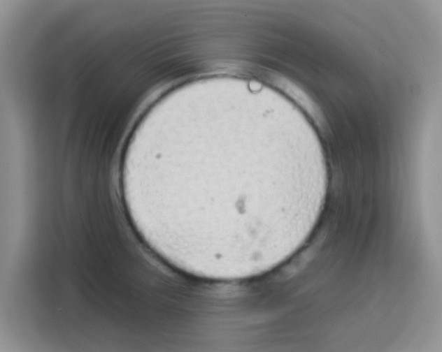 X0000113021283200910081152