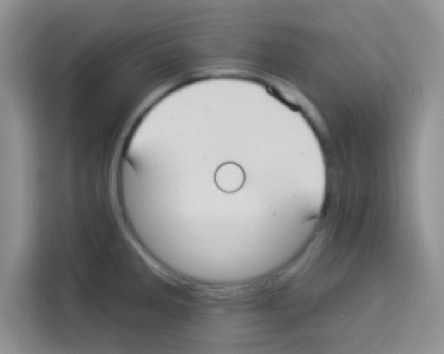 X0000113021285200910081152