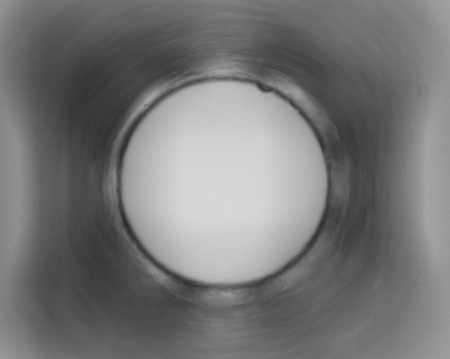 X0000113021286200910081152