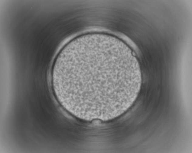 X0000113021287200910081152