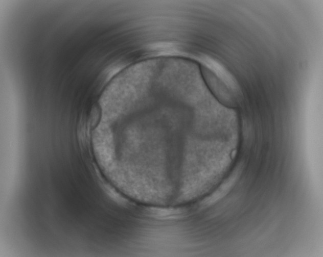 X0000113021289200910081152