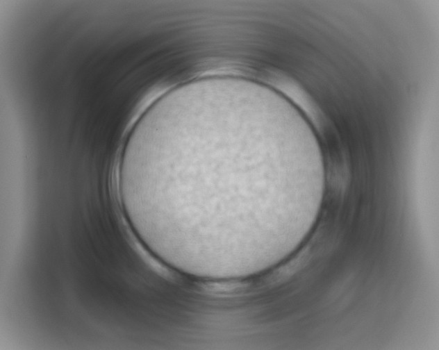 X0000113021290200910081152