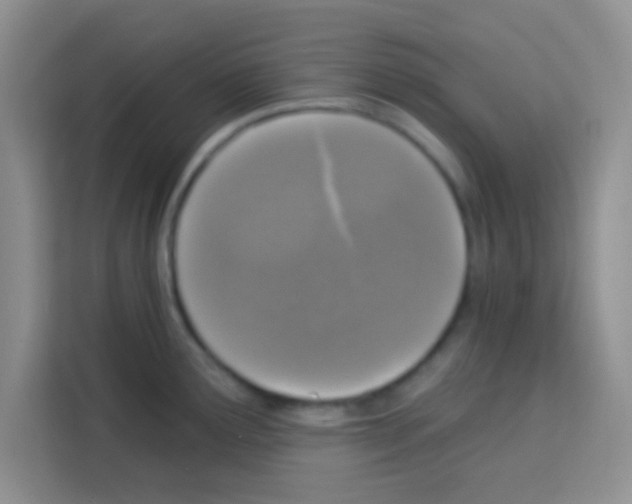 X0000113021291200910081152