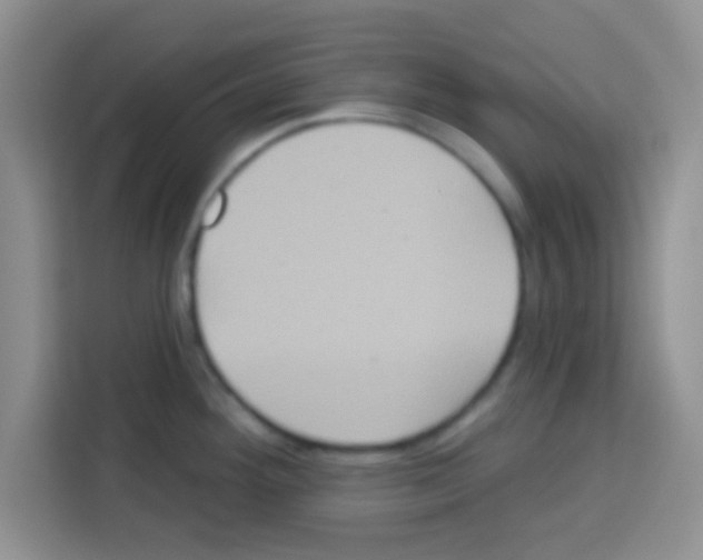 X0000113021292200910081152