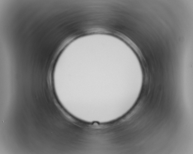 X0000113021293200910081152