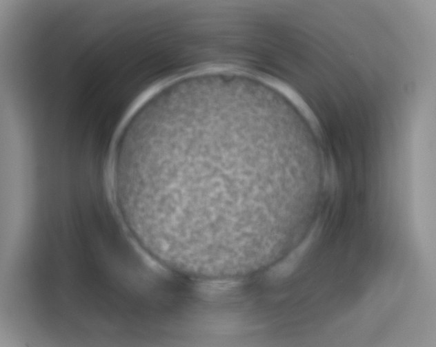 X0000113021294200910081152