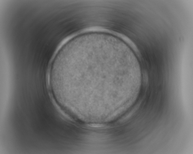 X0000113021295200910081152