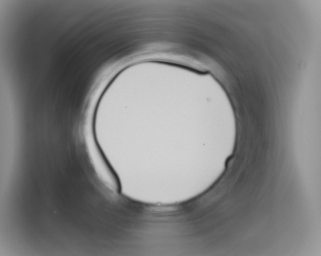 X0000113021296200910081152