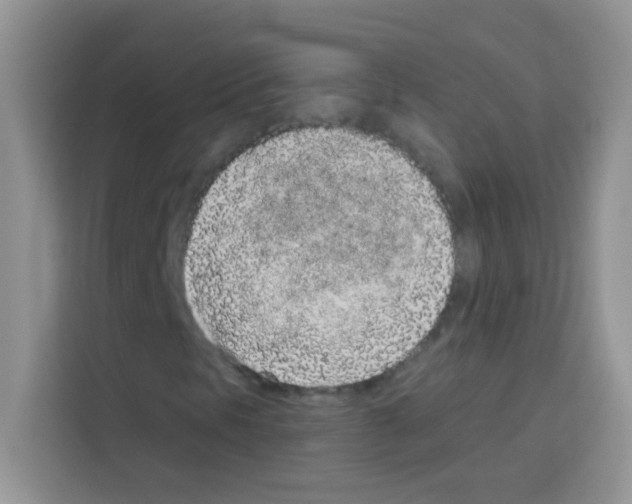 X0000113021297200910081151