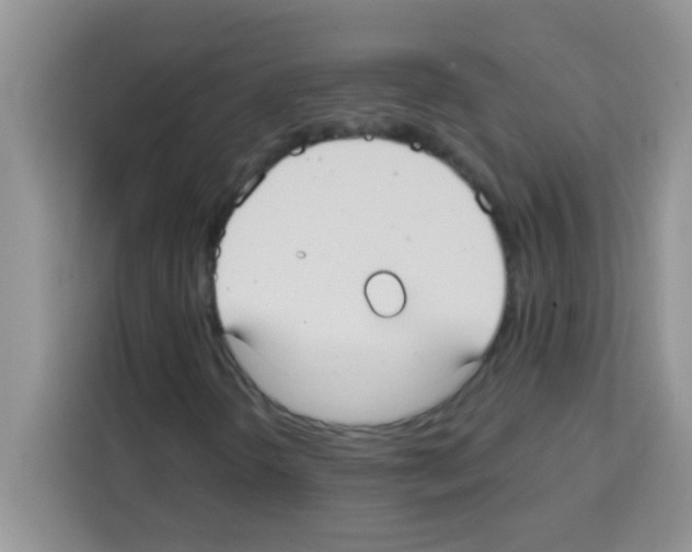 X0000113021298200910081151