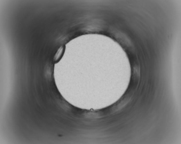 X0000113021300200910081152