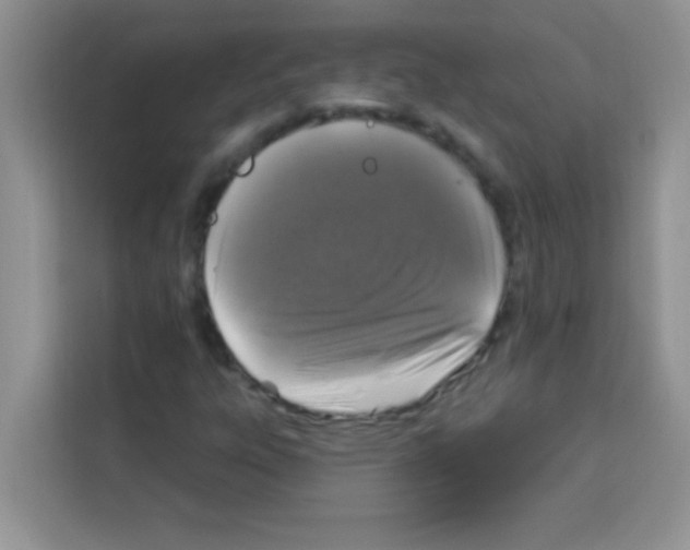 X0000113021303200910081152