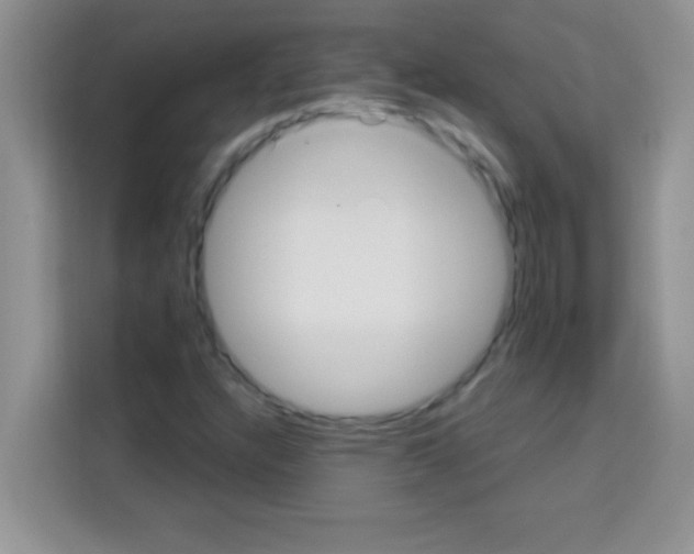 X0000113021304200910081152