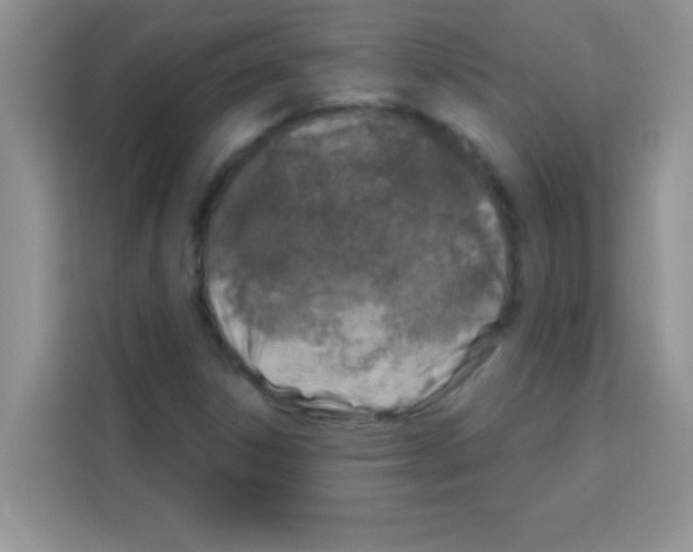 X0000113021306200910081152