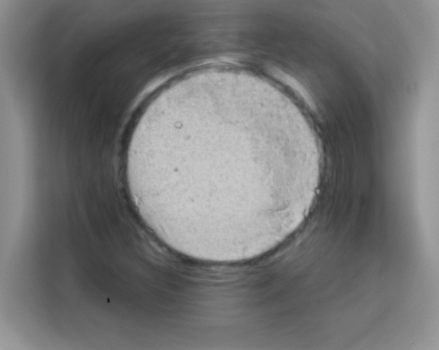 X0000113021308200910081152