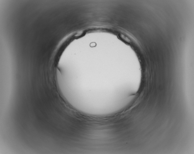 X0000113021310200910081152