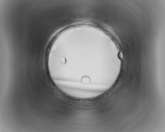 X0000113021312200910081152