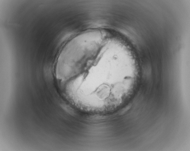 X0000113021314200910081152