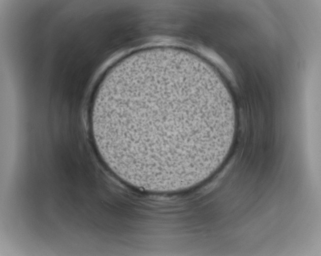 X0000113021318200910081152