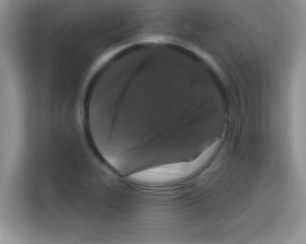 X0000113021319200910081152